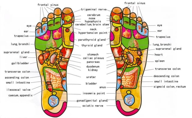 Scopri Tutto Sulla Riflessologia Plantare